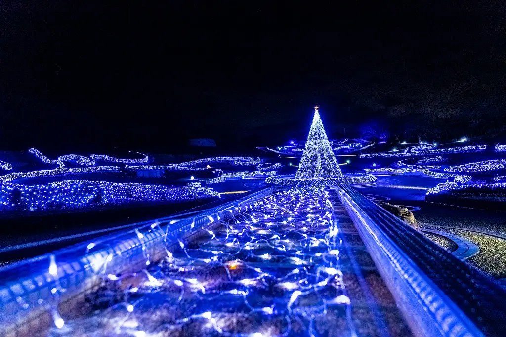 🏞️ 물빛 공원(미즈이로코엔) 이미지 7